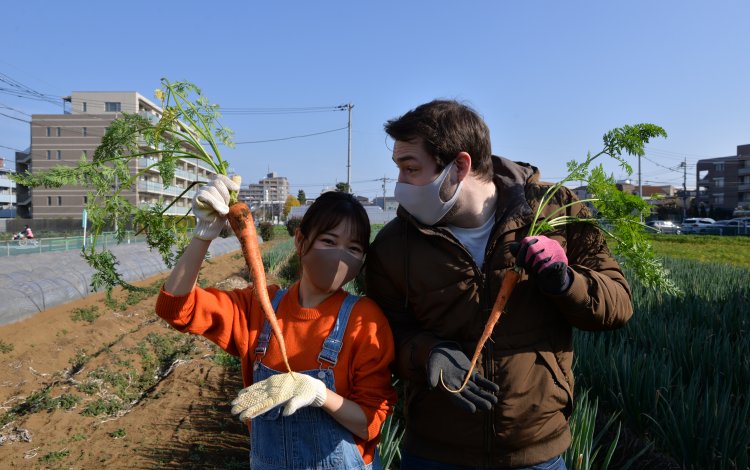 滝野川大長ニンジン【たきのがわおおながにんじん】