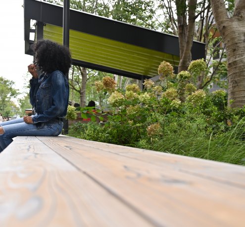 見上げれば“多摩産材”が