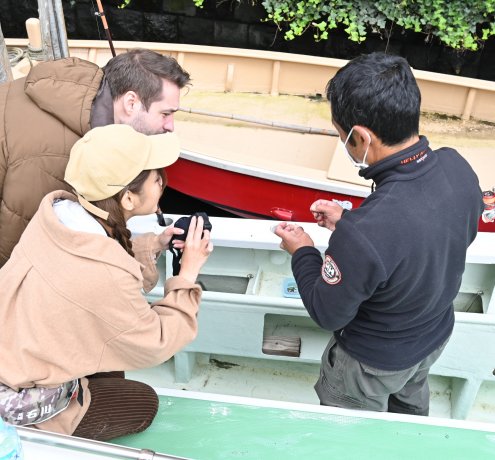 東京湾で何が釣れるの？