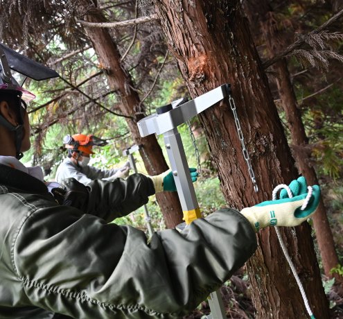 参加者に人気の「枝打ち」に挑戦！