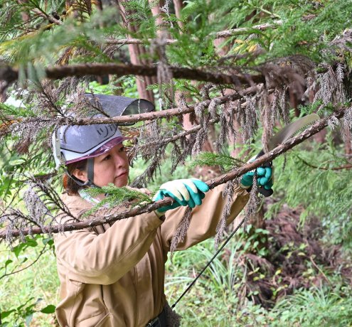 参加者に人気の「枝打ち」に挑戦！
