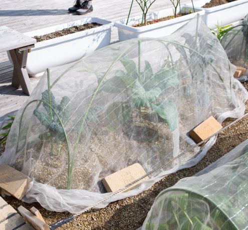 何がいけなかったの？