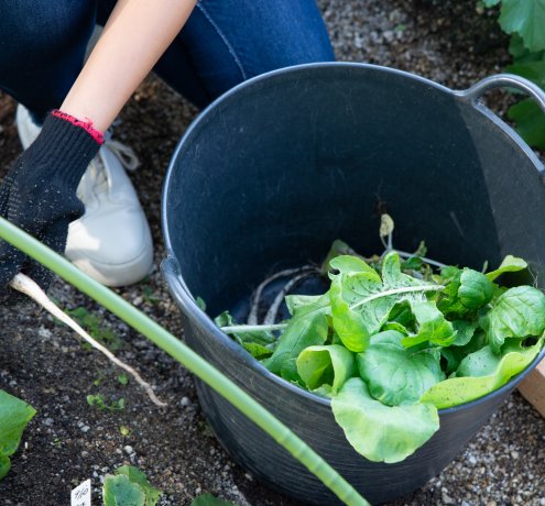気持ちを切り替えてリカバリーしていこう！