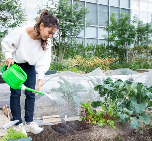 こまめにお世話をすれば楽しみも増える！