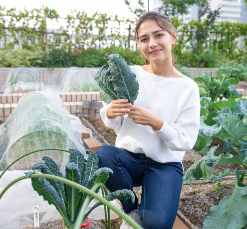 こまめにお世話をすれば楽しみも増える！