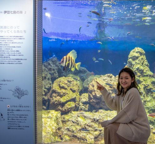 伊豆七島と東京湾の風景の違いが面白い