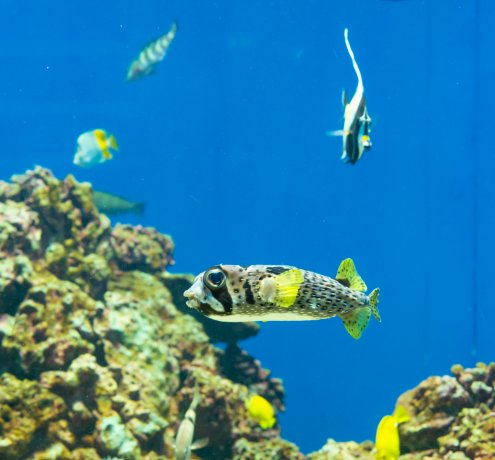 伊豆七島と東京湾の風景の違いが面白い