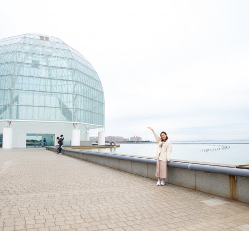 マグロ大水槽など見どころいっぱい！