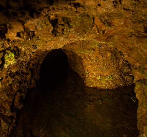 大事なふたつの仕込み水