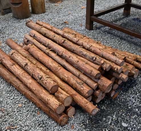 森を守り、登山道を守る活動「杣’s」