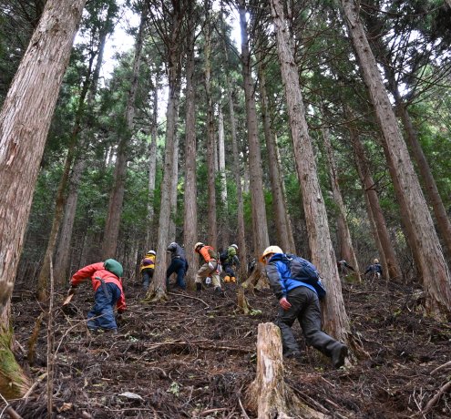 森を守り、登山道を守る活動「杣’s」