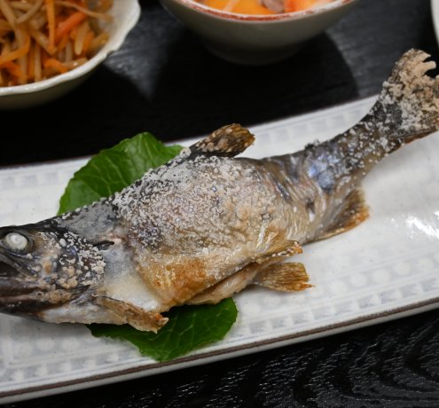 地元食材を使った料理を楽しむ