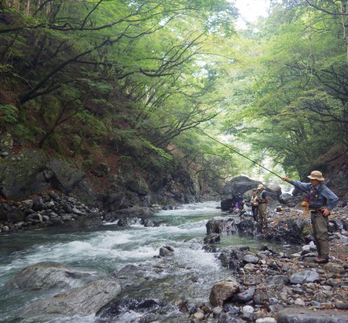 自然に触れる様々な活動