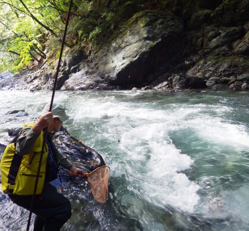 自然に触れる様々な活動