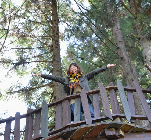 ヒノキの伐採やツリーハウスに興奮！