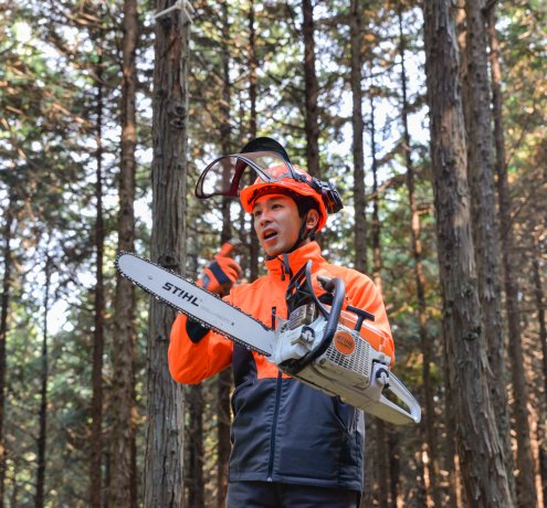 ヒノキの伐採やツリーハウスに興奮！