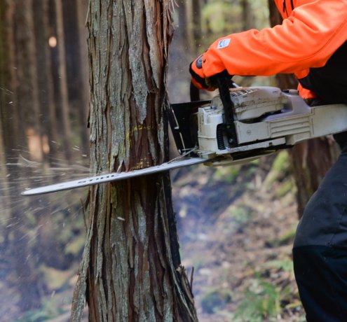 奥多摩との出合いはフィールドワークで