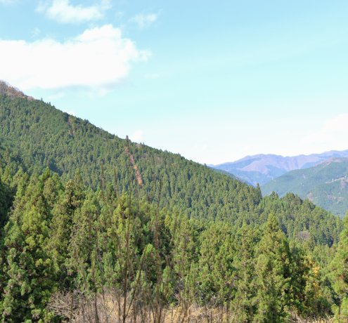 故郷といえる地域をつくりたい