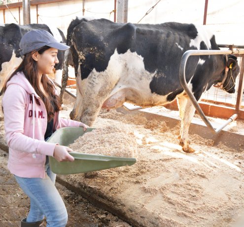 しっかり掃除してふかふかのベッドをつくる！