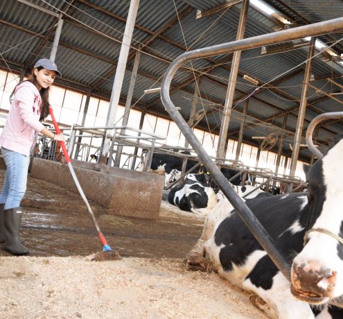 しっかり掃除してふかふかのベッドをつくる！