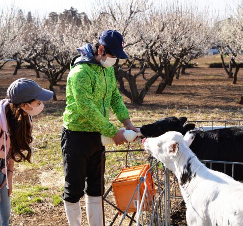 ミルクや餌を与えて健やかな成長をサポート！