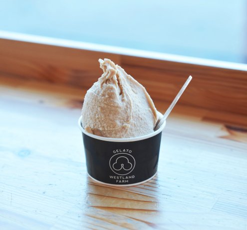 作業後のお楽しみは地元の味を楽しめるジェラート！