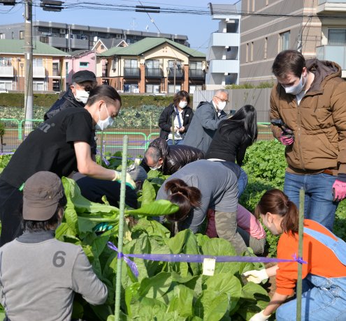 三河島菜【ミカワシマナ】
