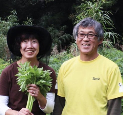 生産者からの声