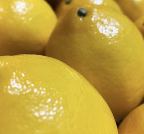 生産者からの声