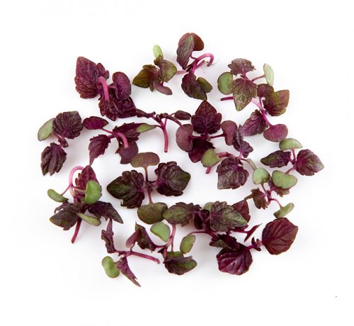 足立のつまもの (3).jpg