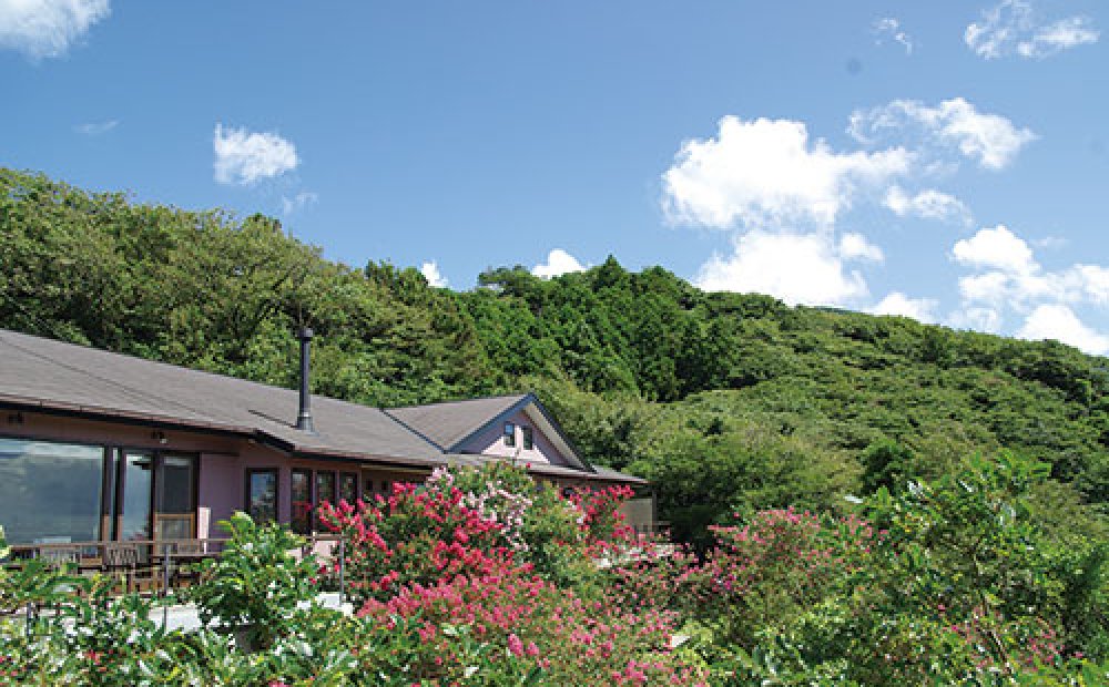 マシオ リゾート