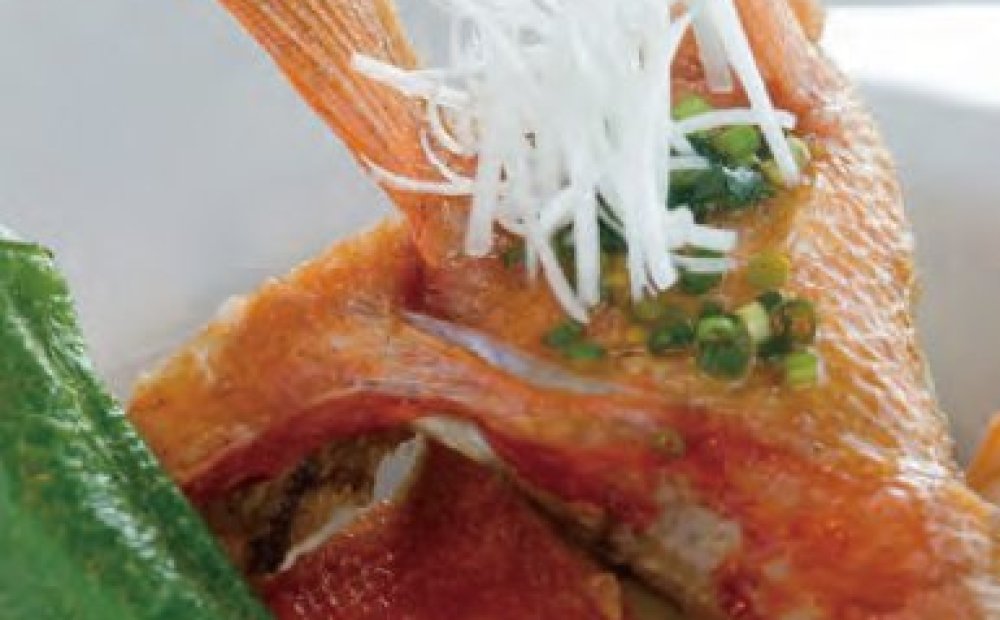 マシオディナースペシャル