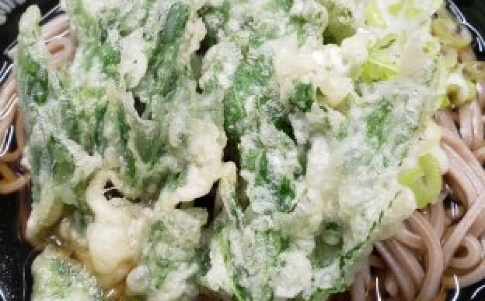 明日葉天そば・うどん