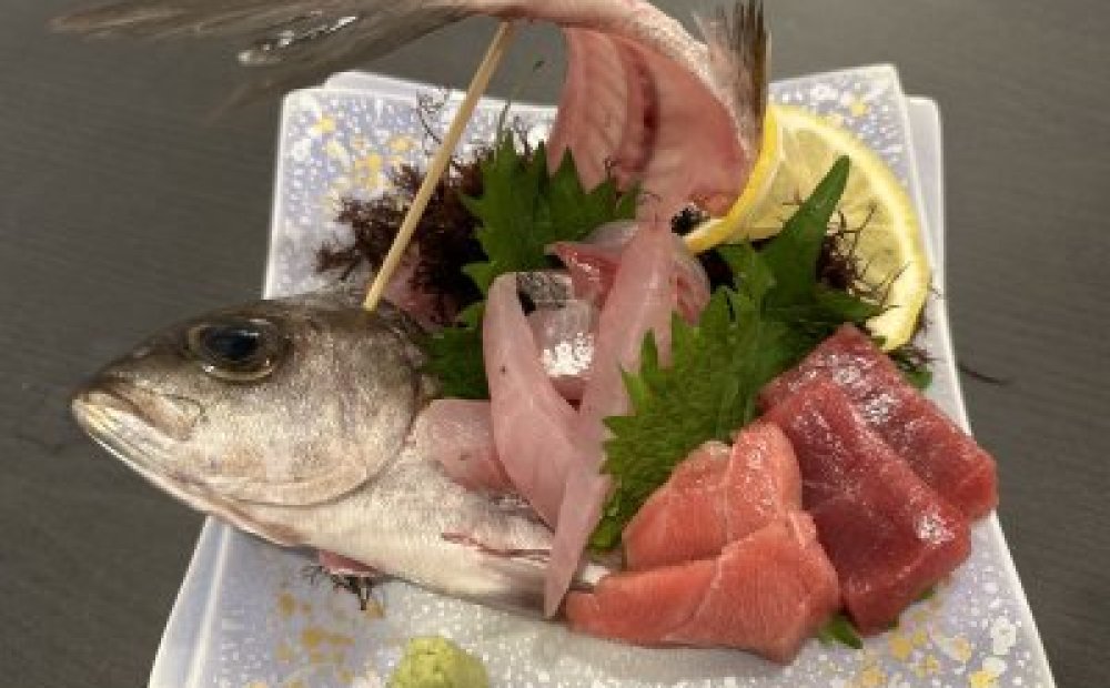 旬なお刺身