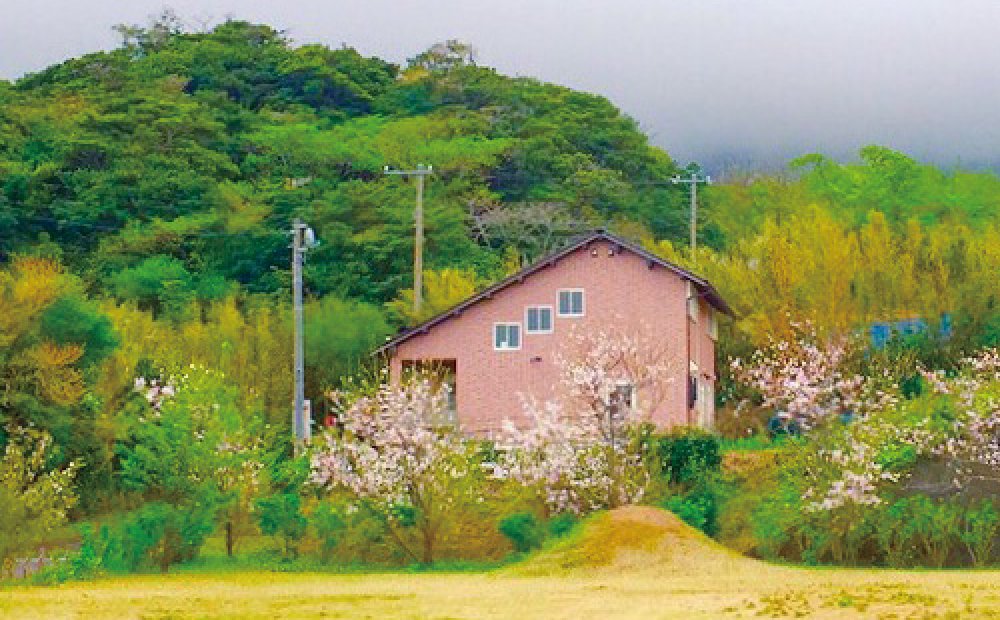 Island style 飲み屋リターノ
