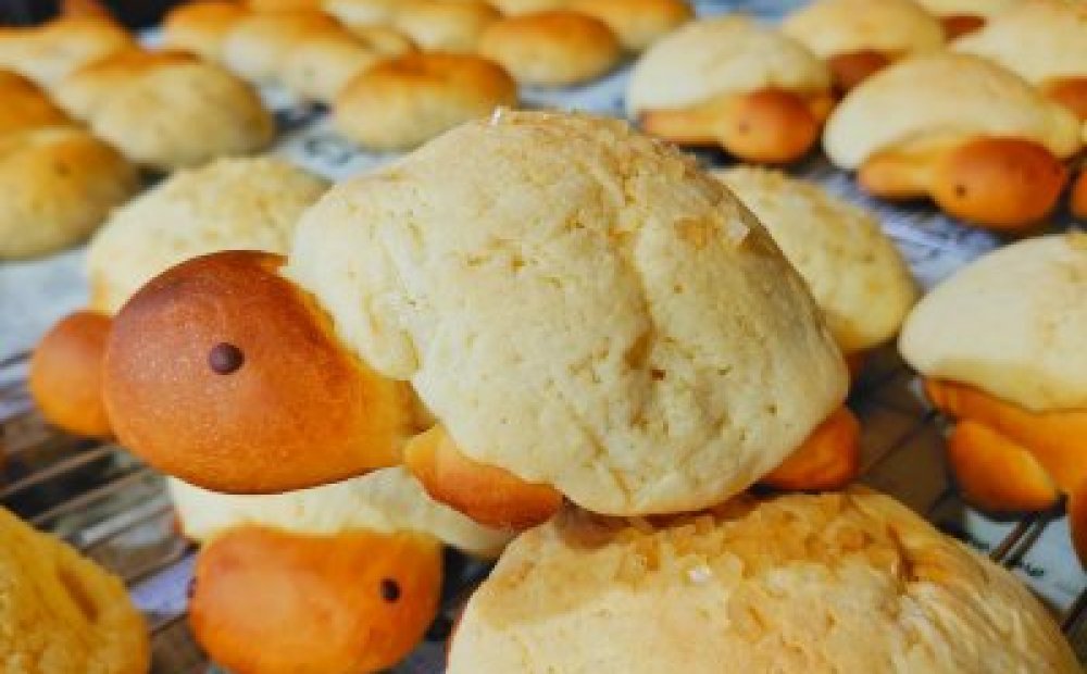 島レモンかめぱん