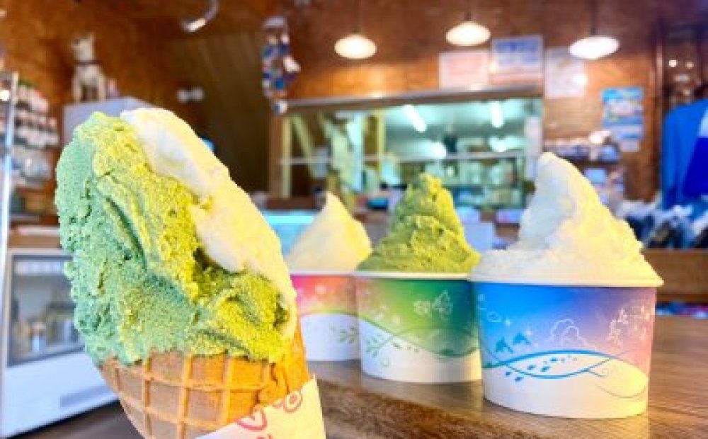 かぶつシャーベット あしたばジェラート 塩ミルクジェラート