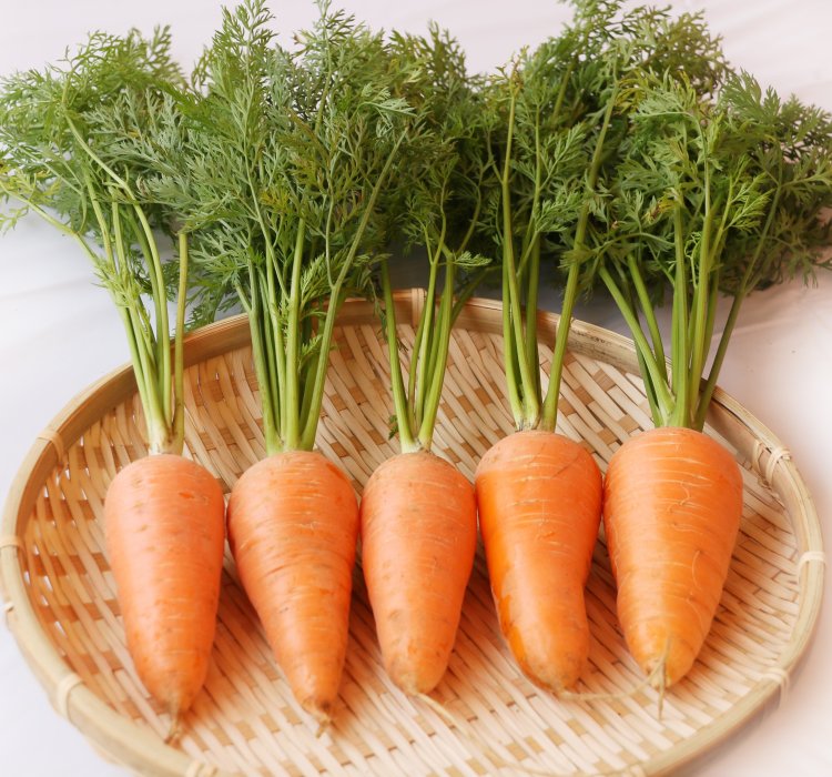 江戸東京野菜　馬込三寸ニンジン