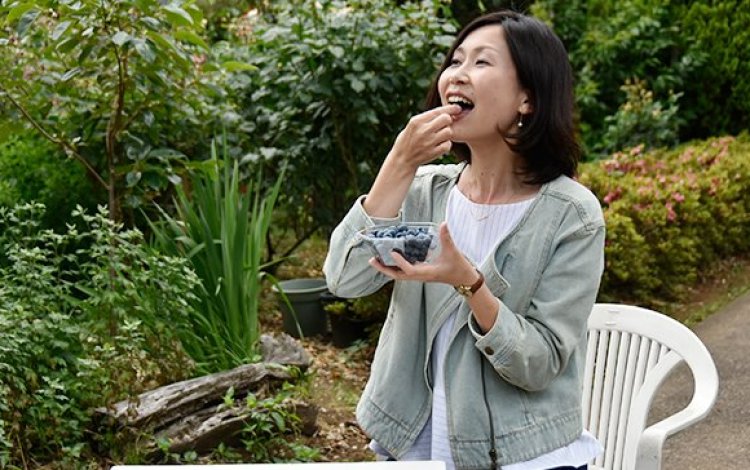 『“甘酸っぱい夏の味覚”ブルーベリー狩り』