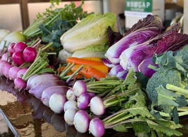 やすだ農園のビーツドレッシングとブルーベリー酢とカラフル野菜のセット