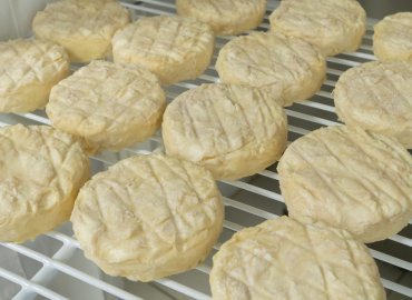 アリゴと フロマージュ・ドーメ のチーズセット