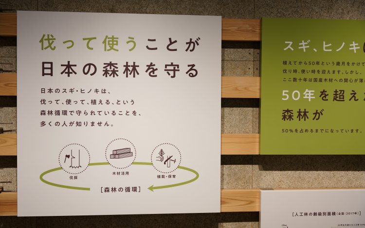 東京の木「多摩産材」