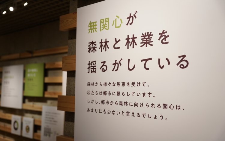 東京の木「多摩産材」