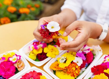 東京都GAP認証取得者を中心にした 東京都産野菜セット!