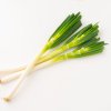 千住ネギ List Image