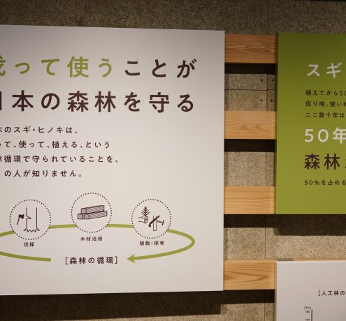 東京の木「多摩産材」