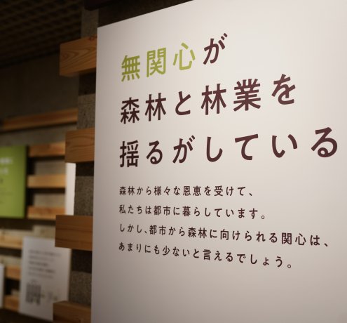東京の木「多摩産材」