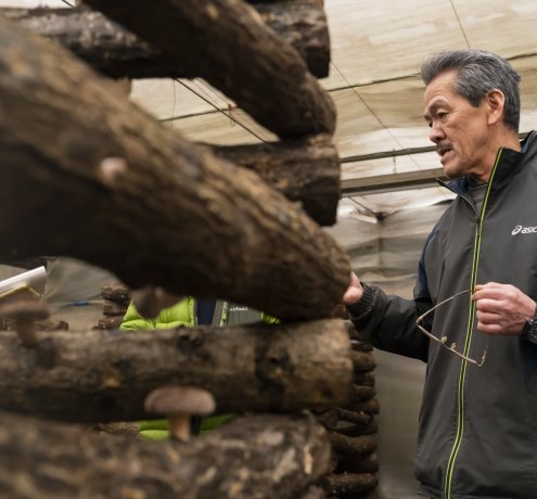 『自然に優しい循環型の林業　原木シイタケ栽培』