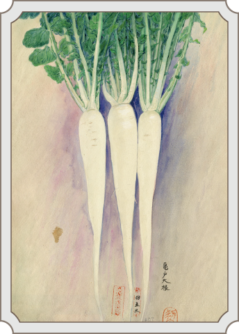 ご存知ですか？「江戸東京野菜」