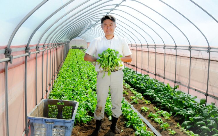 『多品目の葉物を周年栽培』